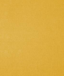 Genesis 11204 M11113 by Barrow Industries Fabric 21C07 100% POLYESTER CHINA </p><p>Repeat: Horizontal: and Vertical: 54" Minimum - Fabric Carolina -