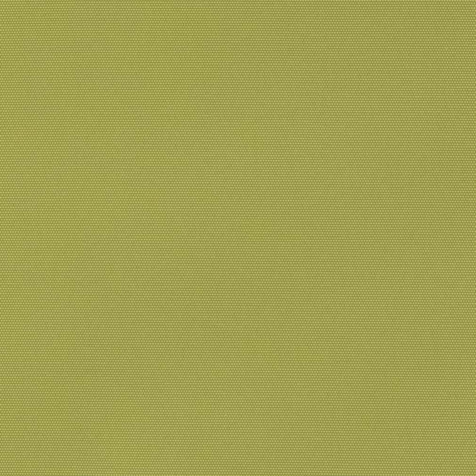 D2804 Kiwi by Charlotte Fabric Patio Plains 100% Solution Dyed Polyester Asia Exceeds 70,000 Wyzenbeek Rubs </p><p>Repeat: No Repeat 54 Inches - Fabric Carolina -