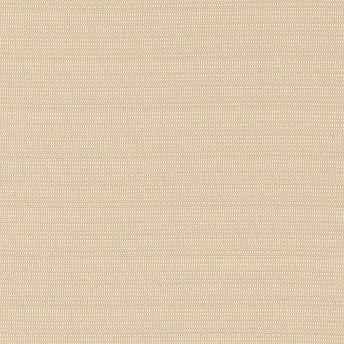 D2830 Almond by Charlotte Fabric Patio Plains 100% Solution Dyed Polypropylene Asia Exceeds 100,000 Wyzenbeek Rubs </p><p>Repeat: No Repeat 54 Inches - Fabric Carolina -