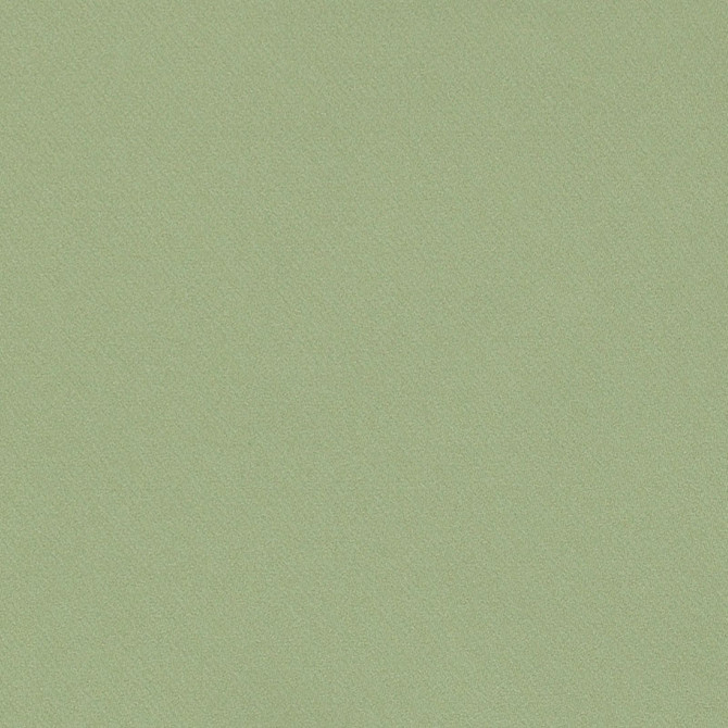 Blake Polished Cotton Moss 69591 by Schumacher Fabric Schumacher Fabric Blake Polished Cotton Moss 69591Fabric COTTON 100% INDIA </p><p>Repeat: H: , V: 55.5 - Fabric Carolina -