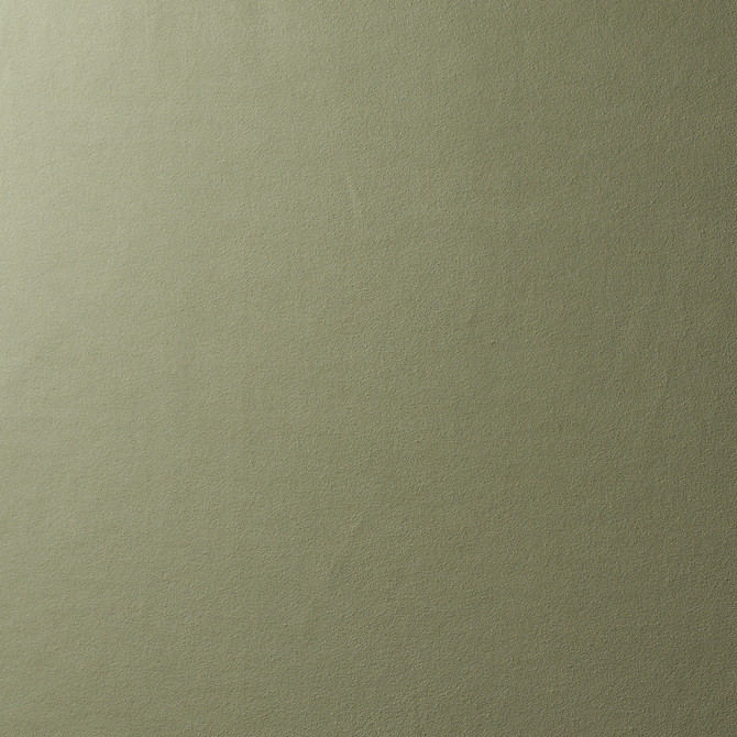 Vegan Suede Sage 81138 by Schumacher Fabric Schumacher Fabric Vegan Suede Sage 81138Fabric POLYESTER 92% </p><p>Repeat: H: HORZ. 54" (137CM), V: VERT. 144" (366CM) 54 - Fabric Carolina -