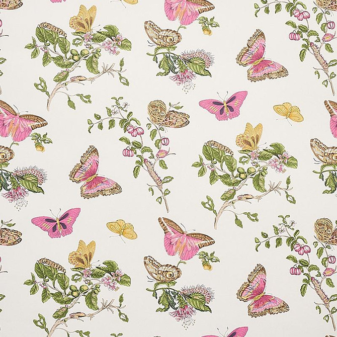 Baudin Butterfly Blush 5010690 by Schumacher Wallpaper Signature Schumacher 26.78" - Fabric Carolina -