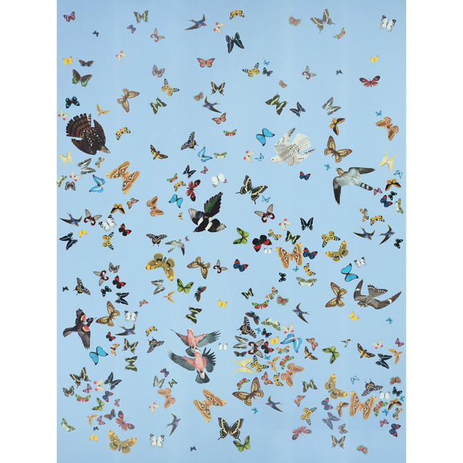 Queen'S Flight Sky 5010865 by Schumacher Wallpaper Peg Norriss 108.0" - Fabric Carolina -