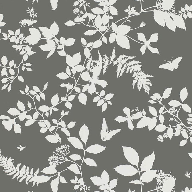 Shadow Vine Charcoal 5005103 by Schumacher Wallpaper Modern Nature 27.0" - Fabric Carolina -
