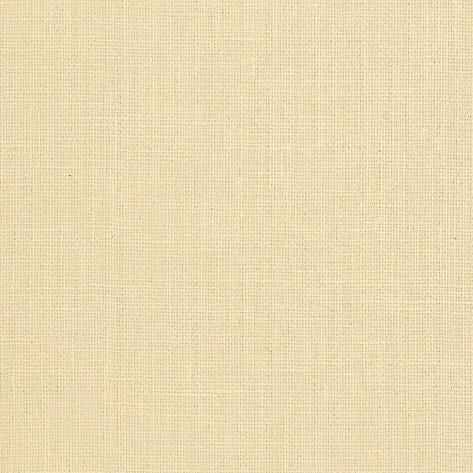 Adhafera Ground Oatmeal 5003580 by Schumacher Wallpaper Atelier - Fabric Carolina -