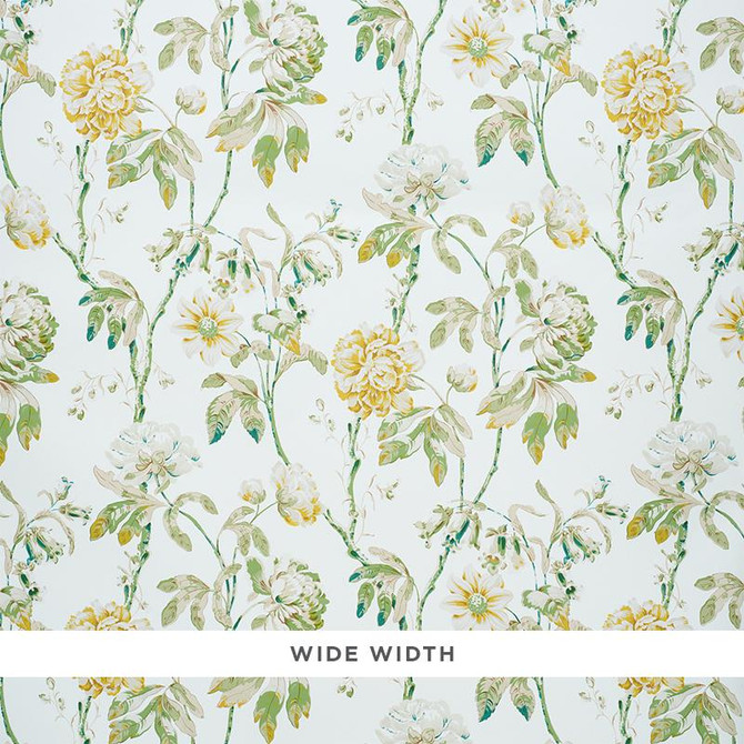 Daydream Citron 5011400 by Schumacher Wallpaper Signature Schumacher 18.25" - Fabric Carolina -