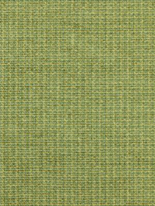 <p>Highland Chenille Grass SC272570004 by Scalamandre Fabric</p><p><strong>Required Minimum Quantity Purchase: Fabrics by the yard 1 YARD MINIMUM </p><p>Book: SAHARA</p><p>Content: 84% COTTON 16% POLYESTER</p><p>Origin: ITALY</p><p>Performance: MEDIUM DUTY</p><p>Repeat: Horizontal: 0" and Vertical: 0"</p><p>Width: 54</p>