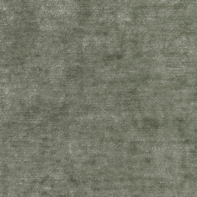 Glamour Seal by Crypton Fabric See sample 100% Polyester 50000 Horizontal: Not Applicable and Vertical: Not Applicable 54" - Fabric Carolina -