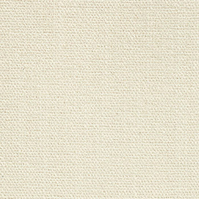 Portrait Cotton by Crypton Fabric See sample 100% Polyester 50000 Horizontal: Not Applicable and Vertical: Not Applicable 54" - Fabric Carolina -