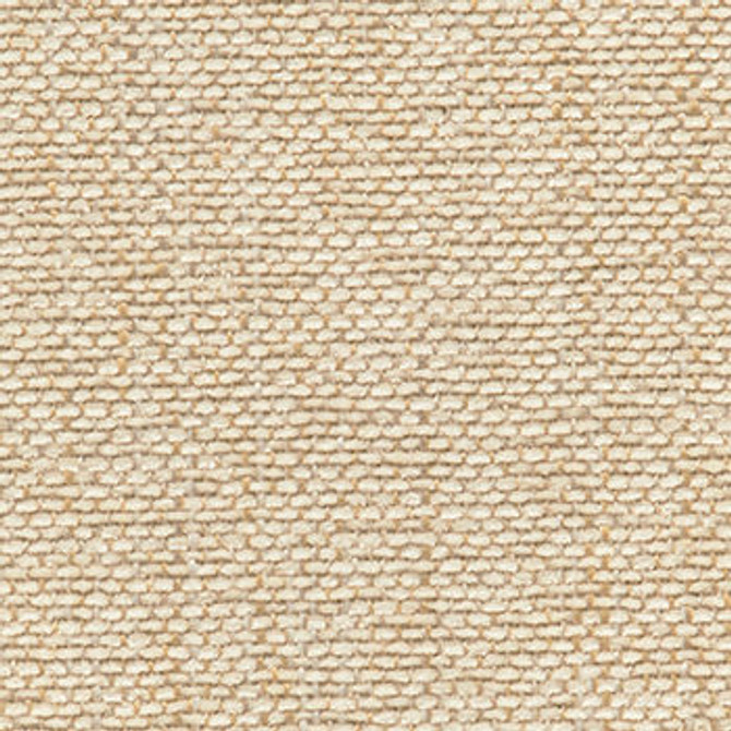 Syllabus Flax by Crypton Fabric See sample 84% Polyester12% Cotton4% Acrylic 50000 Horizontal: Not Applicable and Vertical: Not Applicable 54" - Fabric Carolina -