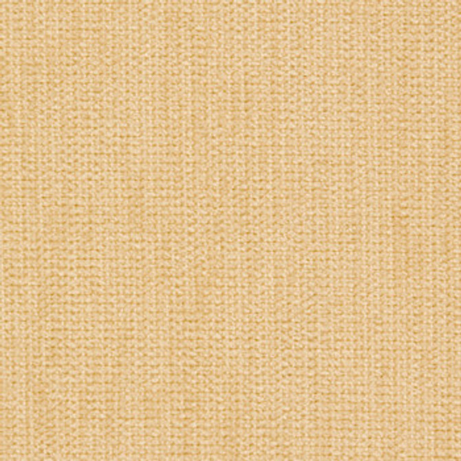 Bianca Camel by Crypton Fabric See sample 100% Polyester 100000 Horizontal: Not Applicable and Vertical: Not Applicable 54" - Fabric Carolina -