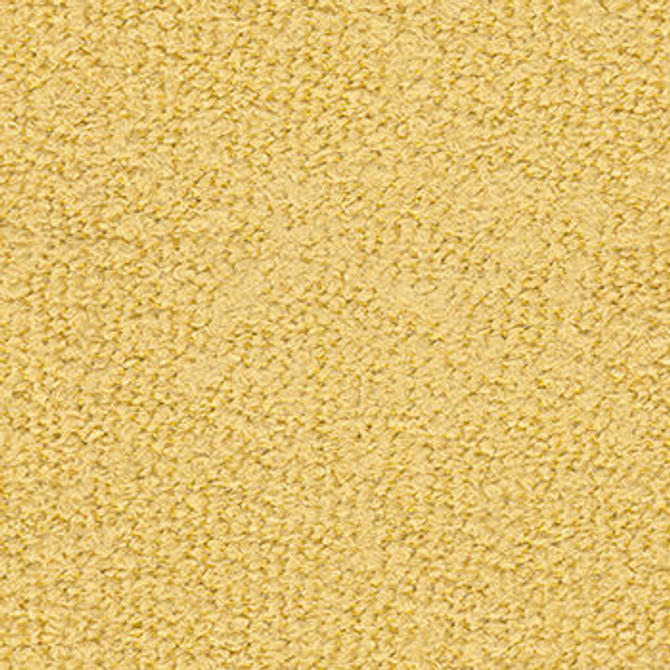 Cuddle Up Adobe by Crypton Fabric See sample 100% Polyester 50000 Horizontal: Not Applicable and Vertical: Not Applicable 54" - Fabric Carolina -