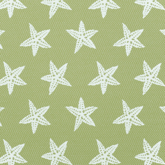 A8043 Tropique by Greenhouse Fabric F06: Outdoor 57% Polypropylene, 43% Polyester 2,000 Light Hours Mexico 45,000 double rubs Water Repellent </p><p>Repeat: 9.5" H, 8" V 54" - Fabric Carolina -