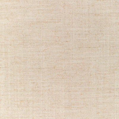 36112.1161.0 by Kravet Fabric Kravet Fabric 36112.1161.0Fabric PERFORMANCE KRAVETARMOR POLYESTER - 100% India </p><p>Repeat: H: 0, V: 0 54 - Fabric Carolina -