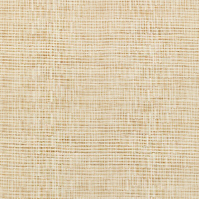 36303.16.0 by Kravet Fabric Kravet Fabric 36303.16.0Fabric PERFORMANCE CRYPTON HOME OLEFIN - 65%;COTTON - 35% United States </p><p>Repeat: H: 0, V: 0 55.5 - Fabric Carolina -