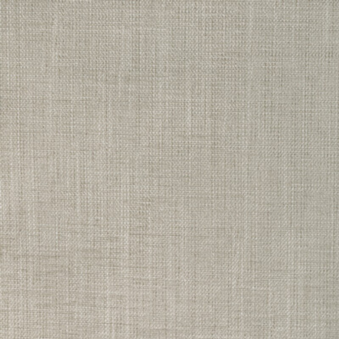 36649.1116.0 by Kravet Fabric Kravet Fabric 36649.1116.0Fabric POLYESTER - 86%;COTTON - 14% India </p><p>Repeat: H: 0, V: 0 54 - Fabric Carolina -