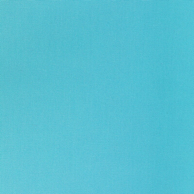 36656.13.0 by Kravet Fabric Kravet Fabric 36656.13.0Fabric COTTON - 100% India </p><p>Repeat: H: 0, V: 0 55 - Fabric Carolina -