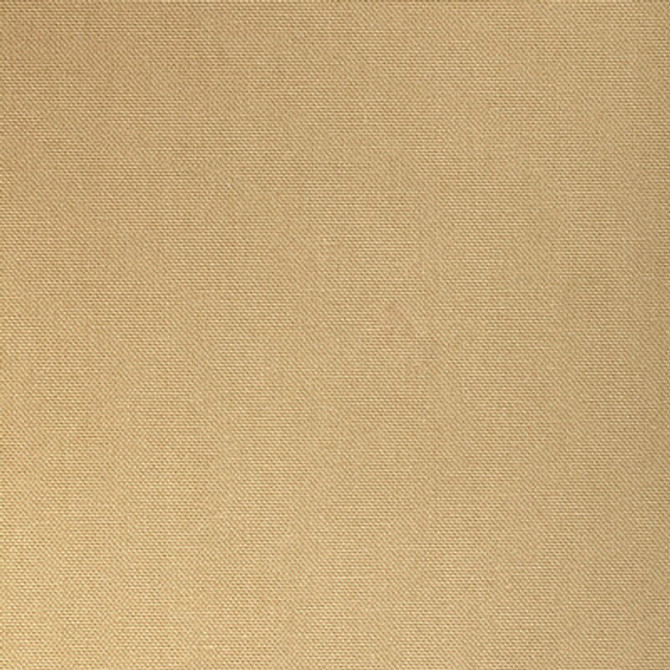 36656.166.0 by Kravet Fabric Kravet Fabric 36656.166.0Fabric COTTON - 100% India </p><p>Repeat: H: 0, V: 0 55 - Fabric Carolina -