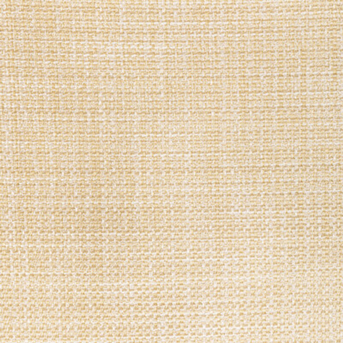 4947.1614.0 by Kravet Fabric Kravet Fabric 4947.1614.0Fabric FR WINDOW LUMA TEXTURE POLYESTER FR - 100% India </p><p>Repeat: H: 0, V: 0 54 - Fabric Carolina -