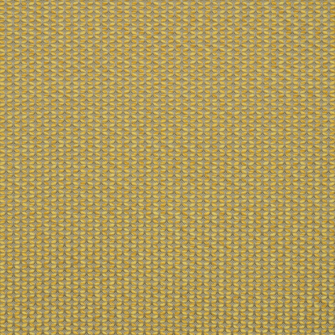 MAJ J338 140 Majestic Citrine by Sunbrella Fabric Sunbrella European Sunbrella® Acrylic, Sunbrella® Polyester USA or Imported 5-Year Horizontal: and Vertical: 55 in. - Fabric Carolina -