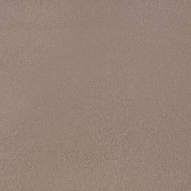 10200-0010 Capriccio Taupe by Sunbrella Fabric Sunbrella Horizon Capriccio Marine Upholstery Sunbrella® Engineered Leather USA or Imported 5-Year, 3-Year Microbial Pink Staining Horizontal: and Vertical: 54 in. - Fabric Carolina -