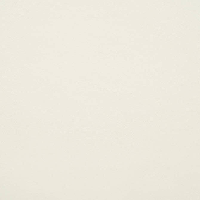 10200-0025 Capriccio Salt by Sunbrella Fabric Sunbrella Horizon Capriccio Marine Upholstery Sunbrella® Engineered Leather USA or Imported 5-Year, 3-Year Microbial Pink Staining Horizontal: and Vertical: 54 in. - Fabric Carolina -