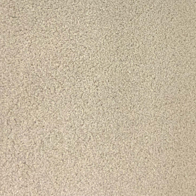 Snuggle 96J9281 by JF Fabric SNUGGLE UP 100% Polyester 90000 Horizontal: and Vertical: 55 - Fabric Carolina -