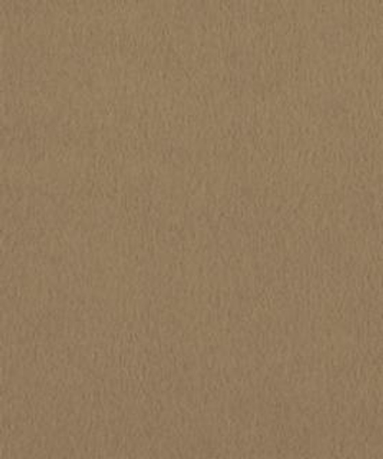 Santiago 1305 M10751 by Barrow Industries Fabric Barrow Industries Fabric Santiago 1305 M10751Fabric DRS SANTIAGO 100% POLYESTER KNIT PILE FABRIC Imported </p><p>Repeat: H: , V: 57" - Fabric Carolina -