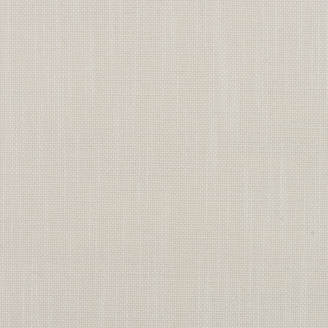 Insideout Frances Snow by Magnolia Fabric - 100% Poly (Uv) Usa 50,000+ Horizontal: 0.063 and Vertical: 0.063 55.5 - Fabric Carolina -
