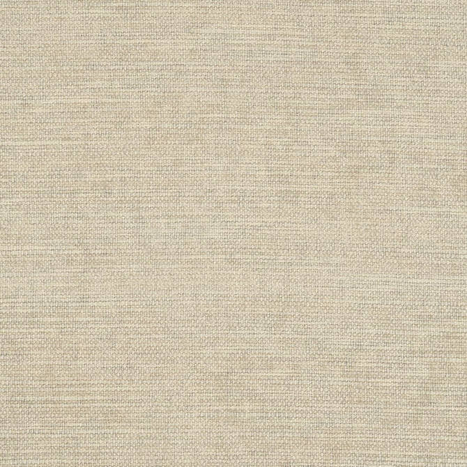 D2969 Bone by Charlotte Fabric Chenille III 100% Polyester Asia Exceeds 30,000 Wyzenbeek Rubs (Heavy Duty) </p><p>Repeat: No Repeat 54 Inches - Fabric Carolina -