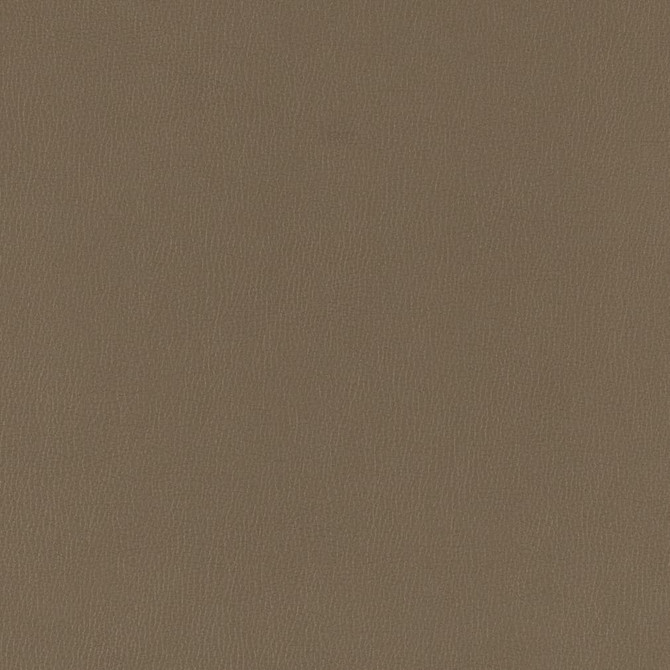 V786 Iron by Charlotte Fabric Value Vinyl III 22oz, Face: 100% Polyurethane, Back: 70% Polyester, 30% Cotton Asia Exceeds 40,0000 Wyzenbeek Rubs (Heavy Duty) </p><p>Repeat: No Repeat 54 Inches - Fabric Carolina -