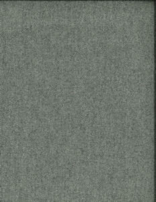 Amway Stone 928 by Norbar Fabric PRISM NEUTRALS 40% WOOL 35% POLYESTER INDIA 55 - Fabric Carolina -