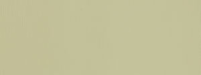 Bahama Natural 11 by Norbar Fabric SENSATION 100% COTTON CHINA 3/4"V 3/4"H 56 - Fabric Carolina -