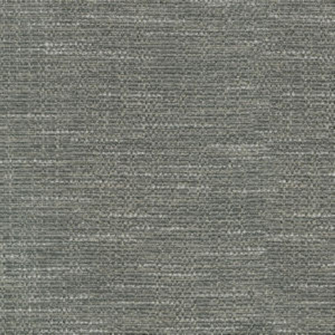 Clyde Gunmetal by Norbar Fabric 80 POLYESTER 20 COTTON INDIA 54" - Fabric Carolina -