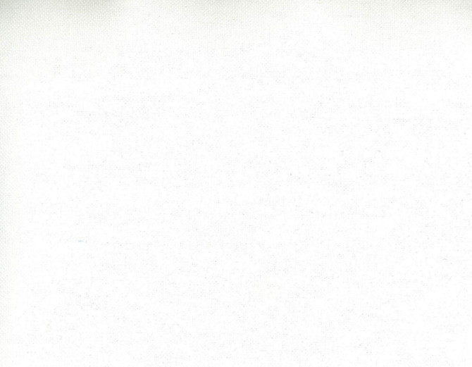 Frenzy Ice 004 by Norbar Fabric FRENZY 60% COTTON 40% LINEN INDIA 54 - Fabric Carolina -