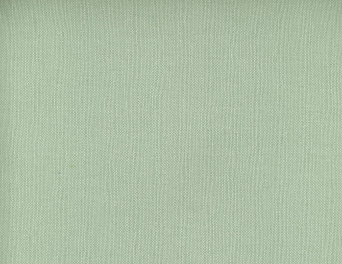 Frenzy Silver Pine 395 by Norbar Fabric FRENZY 60% COTTON 40% LINEN INDIA 54 - Fabric Carolina -