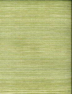 Genesis Green 209 by Norbar Fabric MONTAGE 100% POLYESTER SPAIN 18"V 18"H 54" - Fabric Carolina -