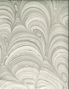 Holden Taupe 229 by Norbar Fabric MONTAGE 100% POLYESTER SPAIN 20 3/8"V 13 1/3"H 54 - Fabric Carolina -