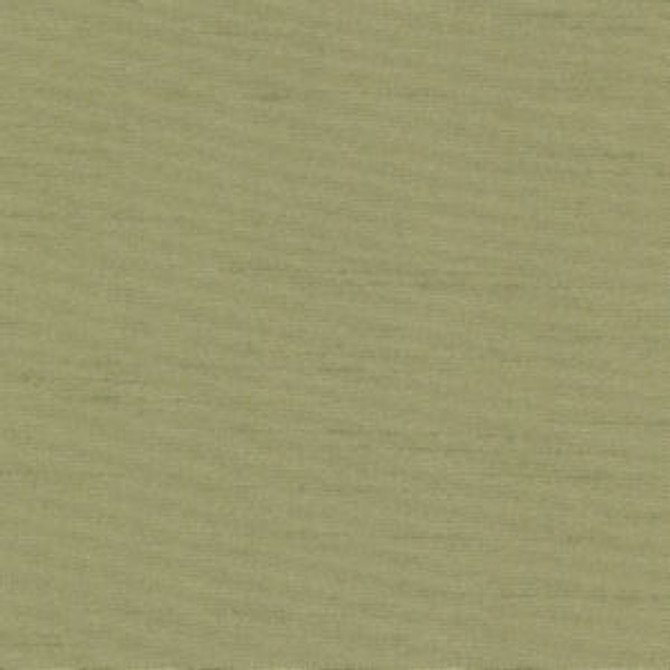 Kent Meadow 53 by Norbar Fabric 100% POLYESTER NORTH AMERICA 30,000 WYZENBEEK 57 - Fabric Carolina -