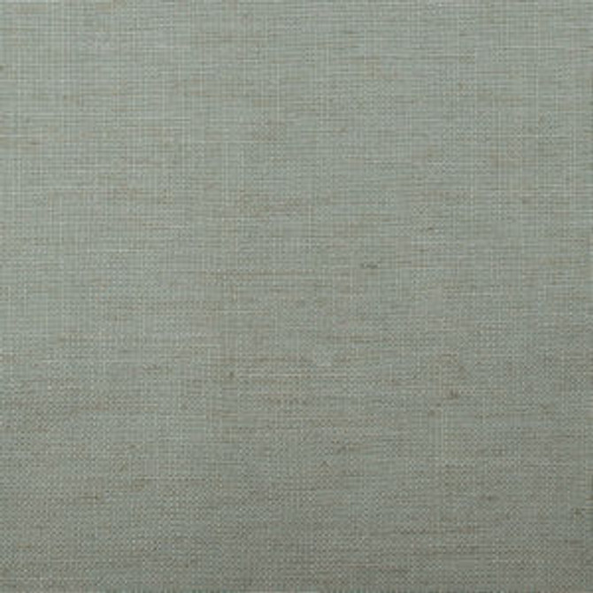 Lark Seapearl by Norbar Fabric LARK 45% VISCOSE 35% POLYESTER CHINA 57 - Fabric Carolina -