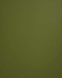 Lucky Aloe by Norbar Fabric LUCKY 100% POLYURETAHNE CHINA 54 - Fabric Carolina -