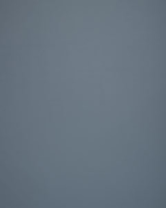 Lucky Steel by Norbar Fabric LUCKY 100% POLYURETAHNE CHINA 54 - Fabric Carolina -