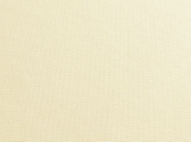 Primo Raffia 13 by Norbar Fabric PRIMO 100% COTTON USA 56 - Fabric Carolina -