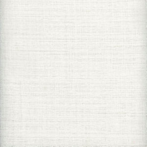 Renato Snow by Norbar Fabric SHIRAZ 100% POLYESTER TURKEY 60 - Fabric Carolina -