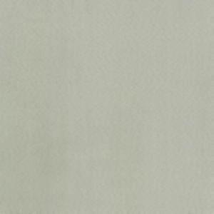 Supra Greige 04 by Norbar Fabric SUPRA SUEDE 75% POLYESTER 25% COTTON SPAIN 54" - Fabric Carolina -