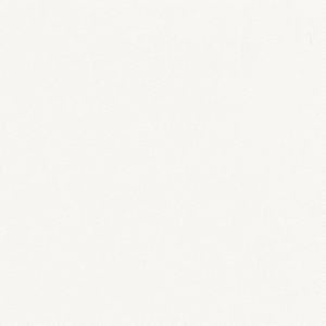 Trace Snow by Norbar Fabric CAMPO 100% COTTON USA 55 - Fabric Carolina -