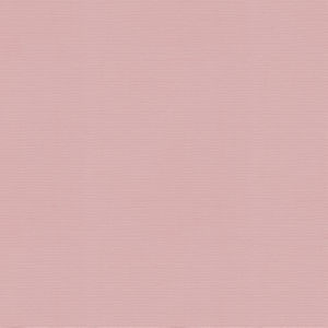 Vail Ballet by Norbar Fabric VAIL 100% COTTON INDIA 55 - Fabric Carolina -