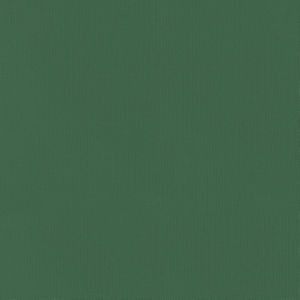 Vail Balsam by Norbar Fabric VAIL 100% COTTON INDIA 55 - Fabric Carolina -