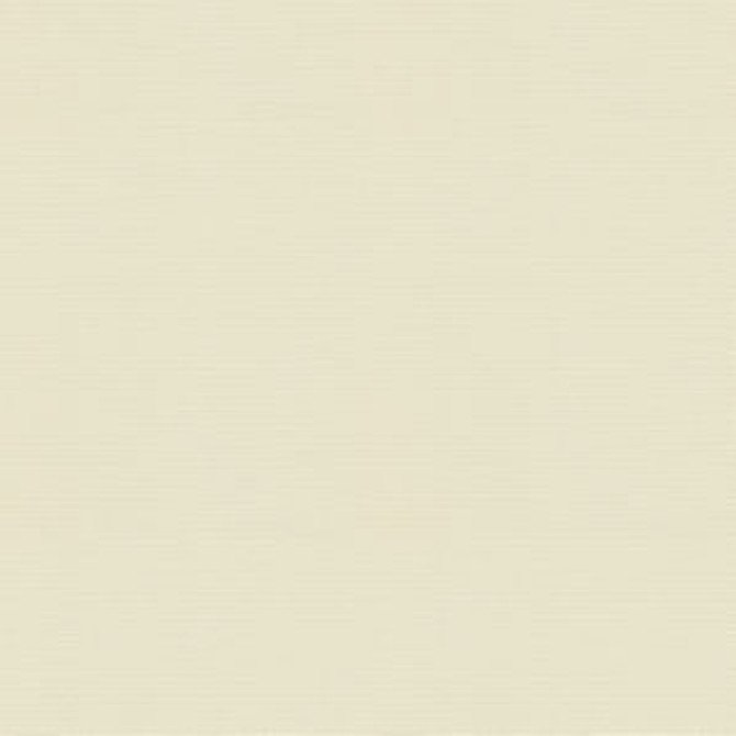 Vail Cream by Norbar Fabric VAIL 100% COTTON INDIA 55 - Fabric Carolina -