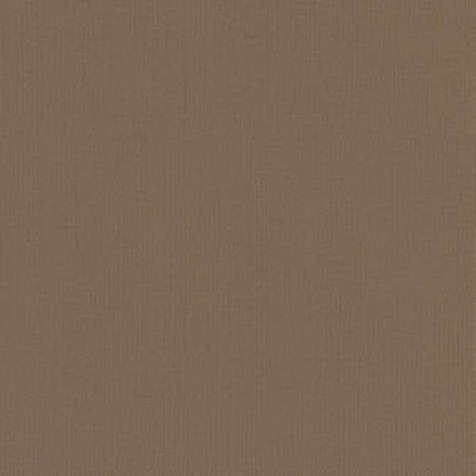 Vail Mink by Norbar Fabric VAIL 100% COTTON INDIA 55 - Fabric Carolina -